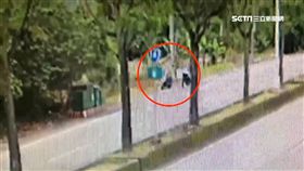 騎車起口角 男當街失控將女友壓制在地