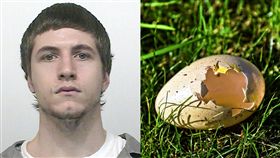 大麻,毒品,冰毒,美國,肛門,監聽,藏毒,槍枝,下體,蛋蛋　圖／翻攝自推特、Pixabay