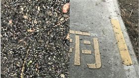 彰化,和美,馬陸,地震,賴清美（圖／翻攝賴清美臉書）