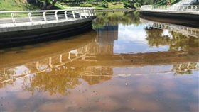 愛河之心,韓國瑜,高雄,總統,國民黨,初選 圖/台灣基進高雄黨部臉書