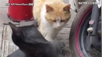 你老婆在你後面很火　當街抓包老公外