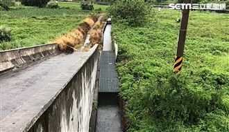 逆子殺父棄屍放水流　生前預告竟成真