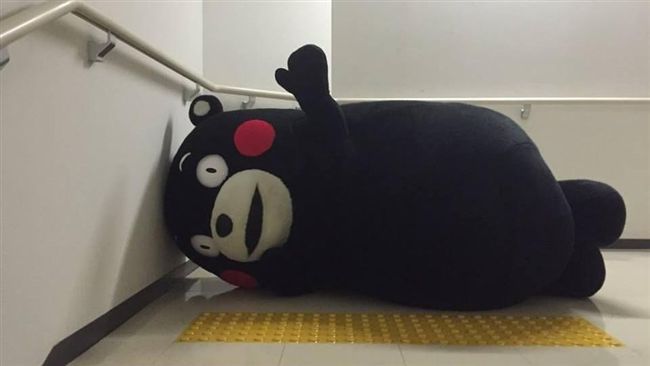 熊本熊申請奧運火炬手遭拒！原因曝光