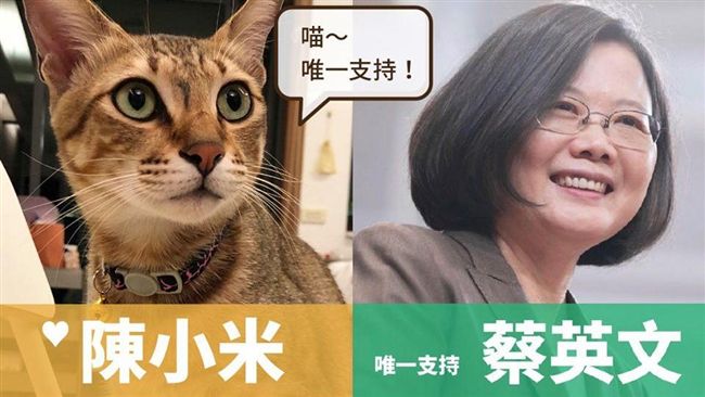 力挺蔡英文！陳小米秒成最萌助選員