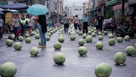 佳冬端午立西瓜秒殺！520顆排排站
佳冬,西瓜節