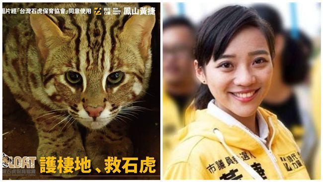 石虎條例遭擋！黃捷痛批「感到丟臉」