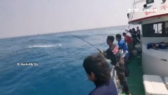 海釣船教釣法追魚！6月夯鬼頭刀旗魚