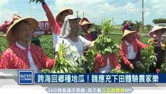 雲地瓜契作登場　魏應充要帶農青回家