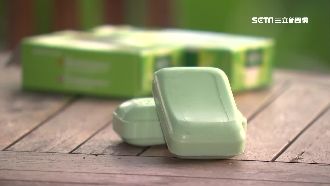 「皂」顧肌膚！對抗過敏舒爽一「夏」