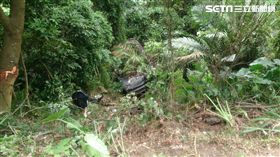 大同山,墜谷,受困,新北,翻攝畫面