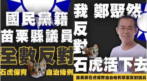 他P圖諷苗栗藍議員反對石虎保育條例