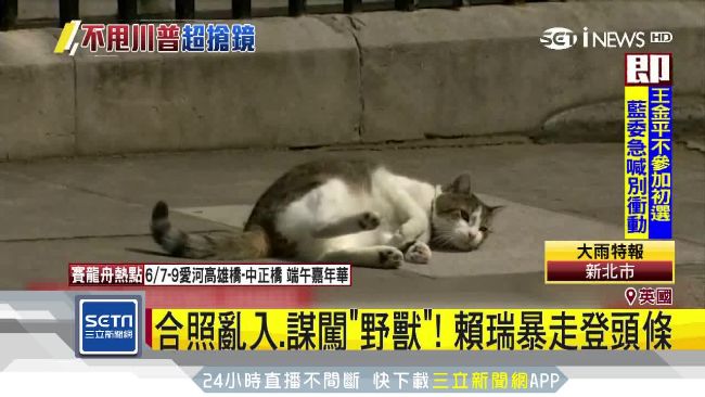 不甩川普！「英國第一貓」亂入合照