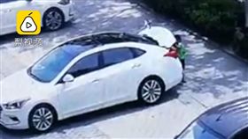 男童,後車箱,鑽車內,悶死,高溫(翻攝自梨視頻)