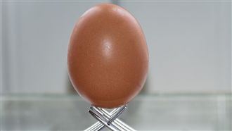 立春也可以立蛋！「3習俗」旺整年好運