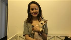 一輩子只有一隻狗　她複製毛孩延續愛玥玥說，有時候想起過世的狗妮妮，會抱著複製狗Nini說一會兒話，也能感覺到一點安慰。（資料照片）中央社記者翟思嘉攝　108年6月7日