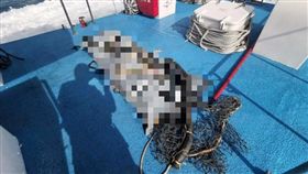 新北,貢寮區,龍洞,浮屍,指認（圖／翻攝畫面）