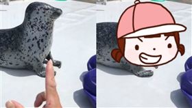 海豹,魯夫,尼歐,駭客任務,北海道,日本,遊戲,裝死,閃子彈,　圖／翻攝自推特　