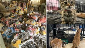 美國,虐貓,貓咪,貓屍,貓屎,虐待
https://pbs.twimg.com/media/D8T4JuKUwAA35Ij.jpg