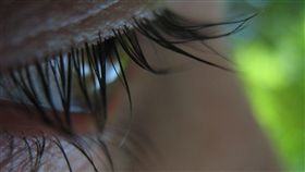 睫毛
https://www.flickr.com/photos/mnsc/219073625/in/photolist-kmNXt-dSUSha-oHmpbv-3PJngv-dfvJaG-e3sC9f-RmLdAf-pB1ExZ-cYyTK9-6DTg8n-h4sanx-88HFFJ-5SFqiV-SMzR3d-9hcQHZ-oku6MN-cKwo9d-q5r9FE-8NCwnK-9dNLiL-