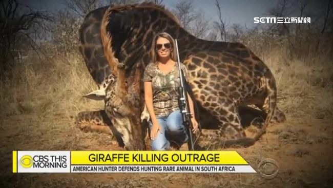 獵殺罕見長頸鹿　女大讚「肉很好吃」