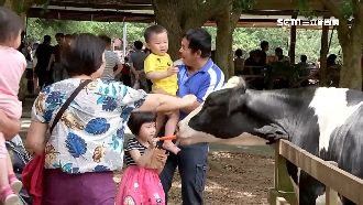 端午牧場烤肉趣！海陸雙拼大啖美味