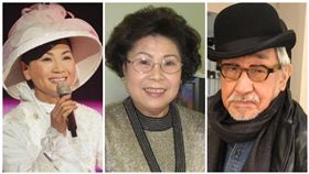 孫越、鳳飛飛、陳文茜/臉書