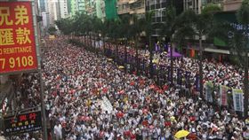 香港大遊行（圖／佔中九子之一張秀賢提供）