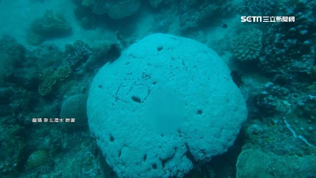 小琉球礁石上「刻字」　女遭肉搜道歉
