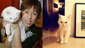 五月天,貓,團寵,五迷,瑪莎,妹妹,過世,腫瘤,演唱會, 圖／翻攝自臉書