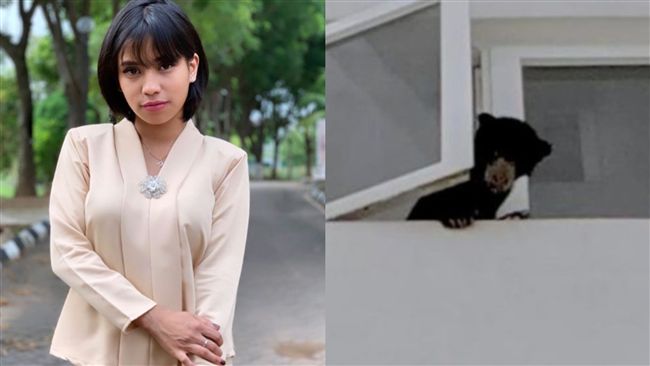 以為是小狗！馬國女星公寓飼養馬來熊