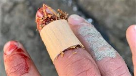 （圖／翻攝自爆系知識家）菸草,止血,偏方,療效