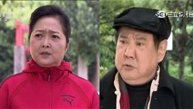 一家人,沛小嵐,馬如龍