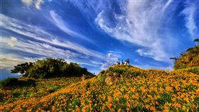 ▲▼暑期豔陽出遊好時光，花蓮縣政府各機關於6~9月間推出18項精彩活動，像是金針花季和夏戀嘉年華年年吸引眾多觀光人潮。（圖／花蓮縣政府提供）