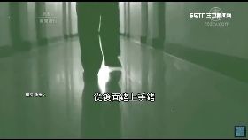港人怕中監1800