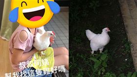 「叔叔阿姨，幫我找這隻雞好嗎」一名網友在臉書社團「基隆人」上PO出這張尋「雞」啟示，照片中可以看到一個小女孩腿上抱著一隻雞，PO的網友表示，因為家中的寵物雞失蹤了，因此發文求助，想請大家幫忙「尋雞」！（圖／翻攝自臉書社團基隆人）