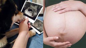 未滿3M公開懷孕喜訊！陌生人酸「你會流產」　她曝苦衷網心疼：別理臭嘴（圖／爆怨公社，ＰＩＸＡＢＡＹ）