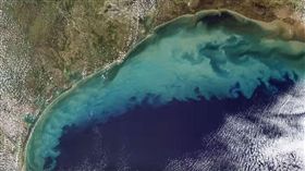 墨西哥灣「死亡區」面積激增　衝擊海洋生物…游不走只能等死！（圖／翻攝自TomoNews 台灣YouTube）

