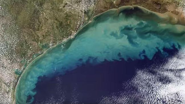 水域死亡區擴大　海底生物只能等死！