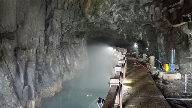 東引北海坑道養龍蝦　每隻成長3百克