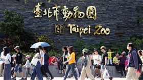 連假出遊好天氣（1）中央氣象局表示，6日各地大多為多雲到晴的天氣，台北市上午陽光露臉，民眾把握連假出遊的好天氣，前往動物園遊玩。中央社記者郭日曉攝　108年4月6日