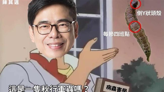 邁邁扮柯南尋找秋行軍蟲　網卻歪樓