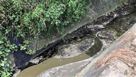 台南下營麻豆大排遭重油污染台南市環保局人員指出，下營區麻豆大排8日被人發現遭重油污染，漫延3公里，所幸因是漲潮，排水回溯，未一路污染到將軍溪，已設置8道吸油索緊急處理。（台南市環保局提供）中央社記者張榮祥台南傳真　108年6月8日