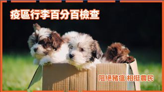 不偏心！蘇揆這回改請汪星人代言政績