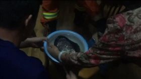 河蚌,夾手,撬開,大陸(翻攝自梨視頻)