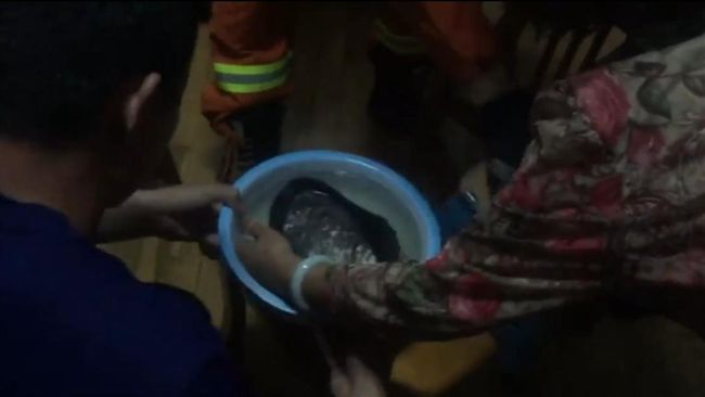 不放手！老婦殺河蚌　反被死夾手指
