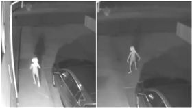  外星人/多比/監視器 （圖／翻攝自臉書Vivian Gomez）