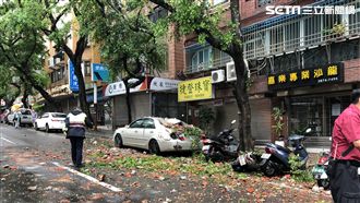 天母公寓磁磚掉落　轎車車頂慘遭砸爛