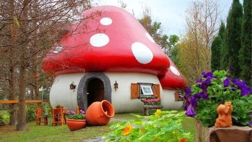 蘑菇屋民宿太萌！藍色小精靈住這嗎？