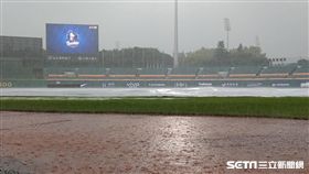 新莊棒球場大雨延賽。（圖／記者王怡翔攝影）