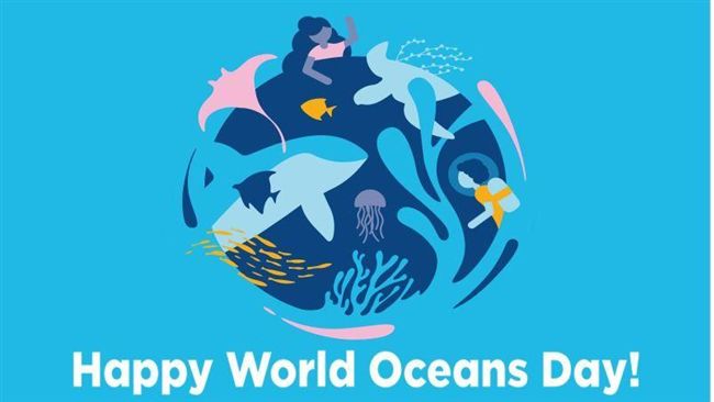 世界海洋日「攜手慢飛護海洋」
